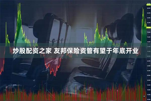 炒股配资之家 友邦保险资管有望于年底开业