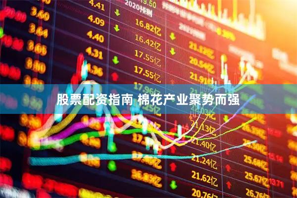 股票配资指南 棉花产业聚势而强